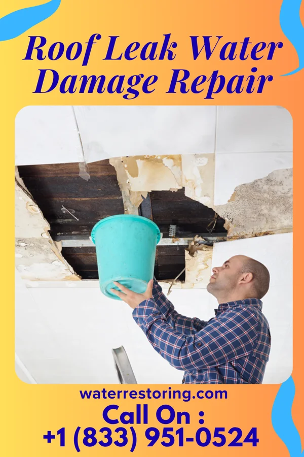 Roof Leak Water Damage Repair in Goodrich, TX